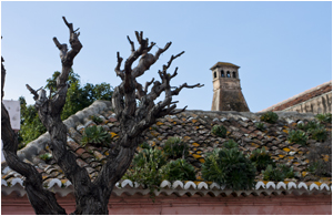 Jardín en el tejado